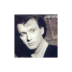 Andy Leek Say Something Vinyl LP USED