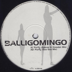 Balligomingo Purify Vinyl 12" USED