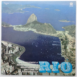 Unknown Artist Rio Vinyl LP USED