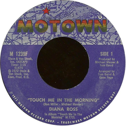 Diana Ross Touch Me In The Morning / I Won't Last A Day Without You Vinyl 7" USED