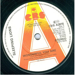 Sleeping Lions (2) Wonderful You Are USED VINYL 7INCH 45 RPM PROMO