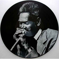Walter Horton Harmonica Genius Vinyl LP USED