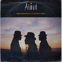 Aswad Give A Little Love Vinyl 12" USED