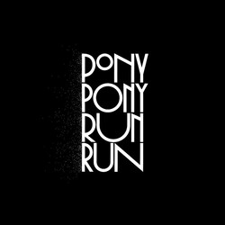 Pony Pony Run Run You Need Pony Pony Run Run Vinyl LP USED