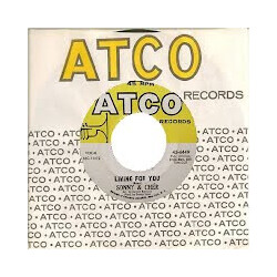 Sonny & Cher Living For You / Love Don't Come USED VINYL 7INCH 45 RPM
