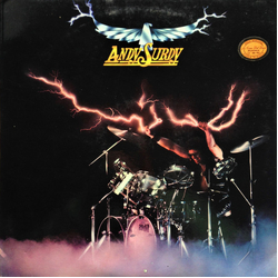 Andy Surdi Andy Surdy Vinyl LP USED