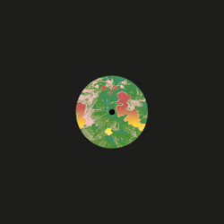 Nature Unit Nature Unit USED VINYL 12INCH 45 RPM