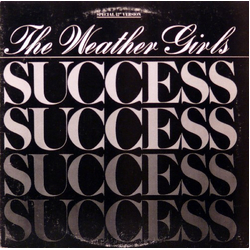 The Weather Girls Success Vinyl 12" USED