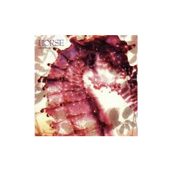 Horse (3) Sweet Thing USED VINYL 12INCH