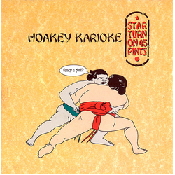 Star Turn On 45 Pints Hoakey Karioke Vinyl 7" USED