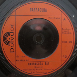 Barracuda (27) Barracuda Bay / Theme From Barracuda Vinyl 7" USED