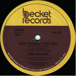 Terri Gonzalez Treat Yourself To My Love USED VINYL 12INCH 33 S RPM SINGLE