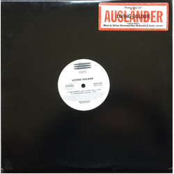 Living Colour Ausländer (Mixes by Adrian Sherwood / Skip McDonald & Sasha (KMFDM)) Vinyl 12" USED