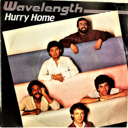 Wavelength (5) Hurry Home Vinyl 7" USED