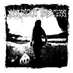 Insidious Process Insidious Process Vinyl LP USED
