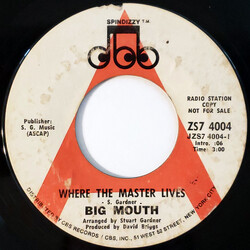 Big Mouth (7) Where The Master Lives USED VINYL 7INCH 45 RPM SINGLE PROMO STYRENE