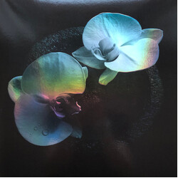 Mike Patton / Jean-Claude Vannier Corpse Flower Vinyl LP USED