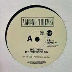 Among Thieves (2) Big Thing USED VINYL 12INCH SINGLE PROMO