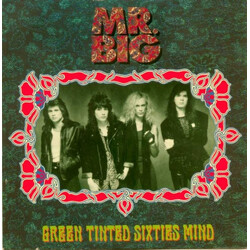 Mr. Big Green Tinted Sixties Mind USED VINYL 12INCH