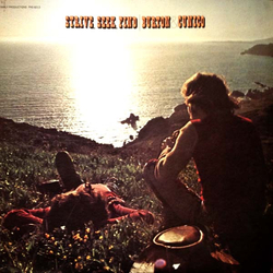Ray Burton (2) / Gino Cunico Strive, Seek, Find Vinyl LP USED