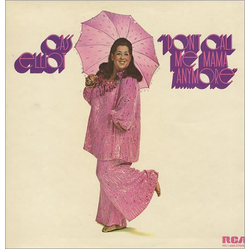 Cass Elliot Don't Call Me Mama Anymore Vinyl LP USED