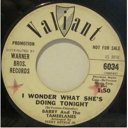 Barry And The Tamerlanes I Wonder What She's Doing Tonight Vinyl 7" USED
