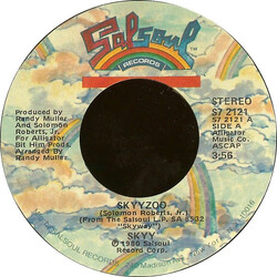 Skyy Skyyzoo / Don't Stop USED VINYL 7INCH 45 RPM