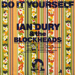 Ian Dury And The Blockheads Do It Yourself Vinyl LP USED