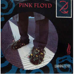 Pink Floyd Learning To Fly USED VINYL 7INCH 45 RPM SINGLE PROMO STYRENE STEREO
