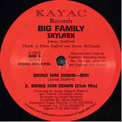 Big Family (2) / Skylark (11) Bring Him Down USED VINYL 12INCH 33 S RPM