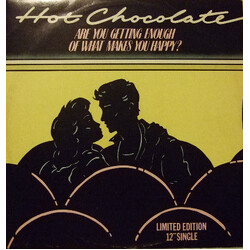 Hot Chocolate Are You Getting Enough Of What Makes You Happy? Vinyl 12" USED