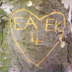 Art Brut Emily Kane USED VINYL 7INCH SINGLE
