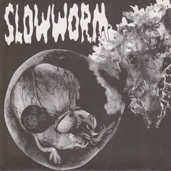 Slowworm Torso / March Of The Insects USED VINYL 7INCH 45 RPM LIMITED EDITION