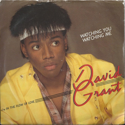 David Grant Watching You, Watching Me Vinyl 7" USED