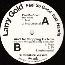 Larry Gold / Nanda Feel So Good Vinyl 12" USED