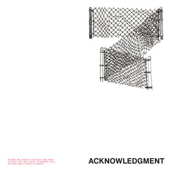 Mark Trecka Acknowledgement Vinyl LP USED