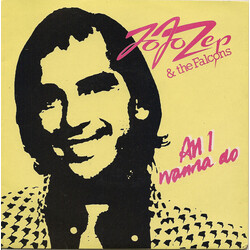Jo Jo Zep And The Falcons All I Wanna Do USED VINYL 7INCH SINGLE