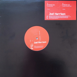 Joel Harrison El Sonido Loco Vinyl 12" USED