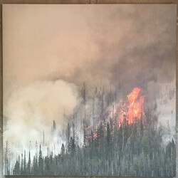 Anicon Exegeses Vinyl LP USED