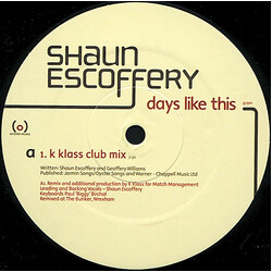 Shaun Escoffery Days Like This USED VINYL 12INCH 33 S RPM PROMO
