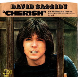 David Cassidy Cherish / All I Wanna Do Is Touch You USED VINYL 7INCH 45 RPM