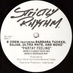 B-Crew / Barbara Tucker / Dajaé / Ultra Naté / Moné Partay Feeling Vinyl 12" USED