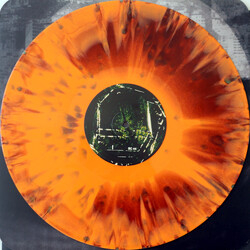 Growing Diptych Vinyl LP USED