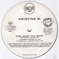 Kristine W Feel What You Want VINYL 12" USED