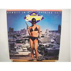 David Bromberg Band Bandit In A Bathing Suit Vinyl LP USED