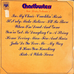The Chartbusters New Series Volume 1 Vinyl LP USED