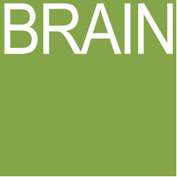 Luke Temple BRAIN USED VINYL 7INCH EP LIMITED EDITION NUMBERED