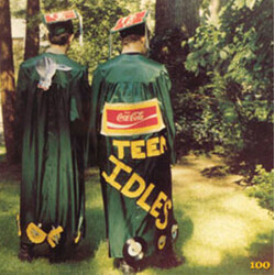 The Teen Idles Anniversary VINYL 7" USED