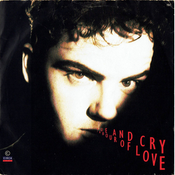 Hue & Cry Labour Of Love Vinyl 7" USED