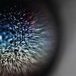 Emptyset Blossoms Vinyl LP USED